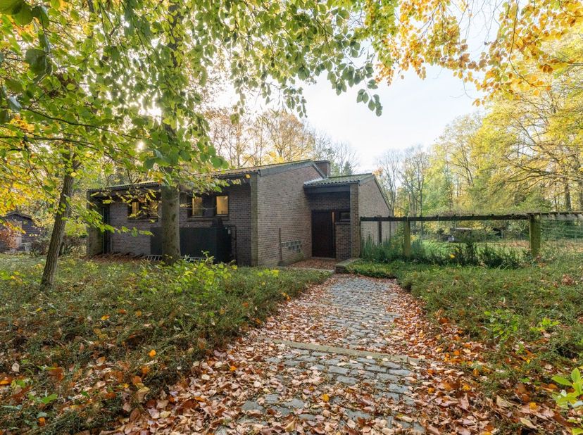 Te midden van het groen, in het hart van het bos van Hertsberge, bevindt zich deze te renoveren woning op een ruim perceel van 8.416 m². Een oase van