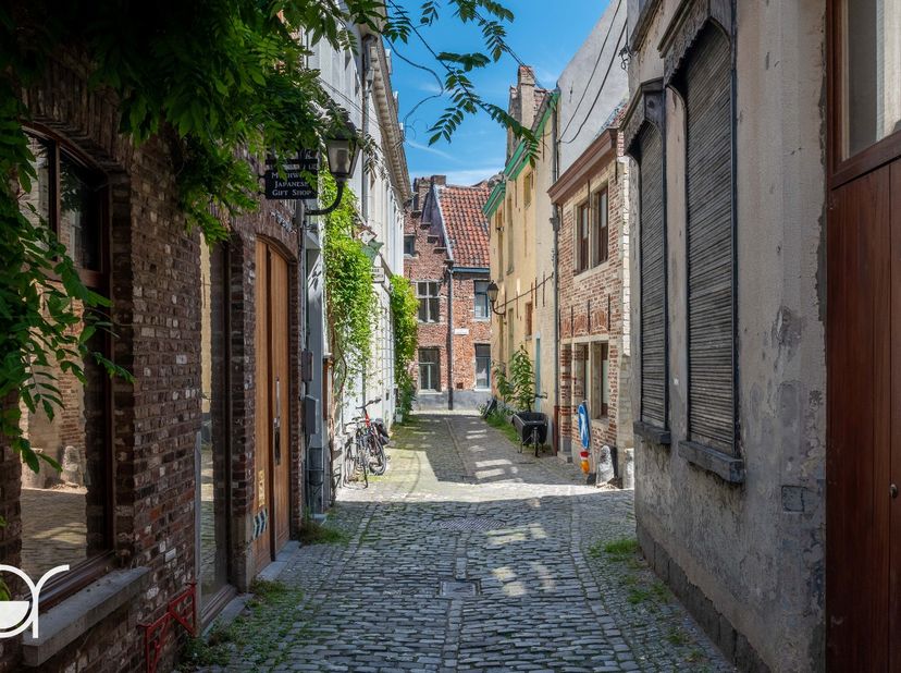 Gelegen in de Hertogstraat 10, een rustige zijstraat van de Kraanlei, bevindt u zich midden in het historische centrum van Gent. De Vrijdagmarkt, het