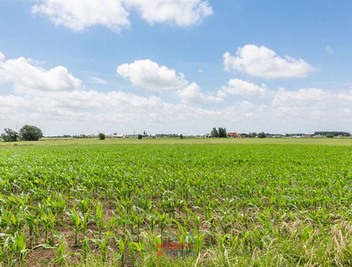                                        Bouwgrond te koop in Ieper, € 390.000
