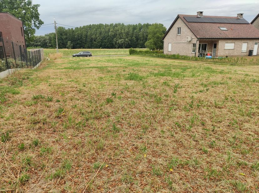 Terrain à vendre
                    à 2580 Beerzel