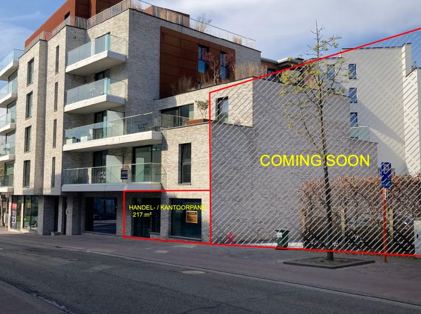 Wonen en werken op dezelfde locatie. Commerciële topligging. Handels-/kantoorpand van 217 m² met aanliggend appartement (nieuwbouw 160 m²&amp;nbsp;met 3 s