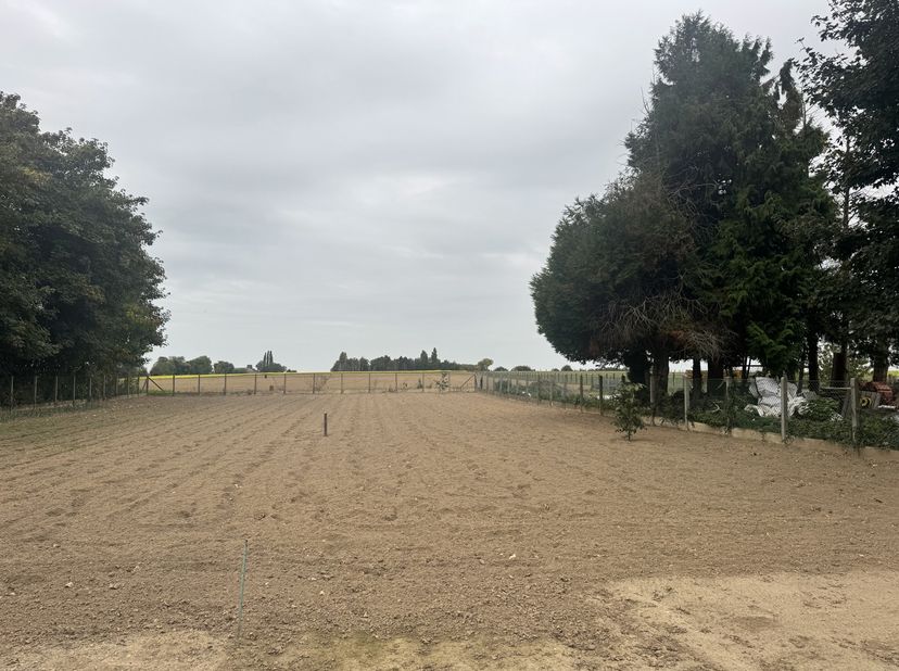 Terrain à vendre
                    à 3370 Willebringen