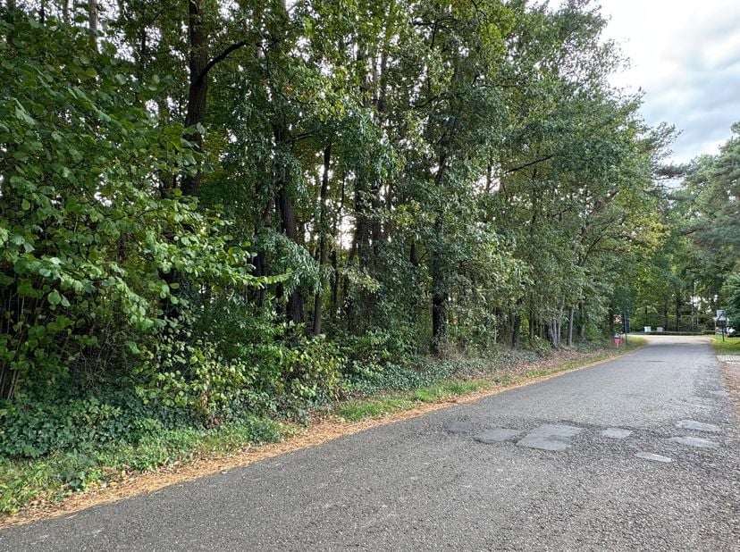 Uitstekend gelegen open bouwplaats&amp;nbsp;op 10a 85ca<br />
Mogelijkheid om te bouwen aan de Herebaan-West 78 of met de voorgevel aan de Molenweg!<br />