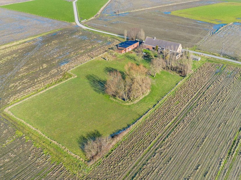 Deze landelijk gelegen eigendom heeft een oppervlakte van 6474 m² en bestaat uit: inkomhal - living - keuken - berging - wasplaats - toilet - badkamer