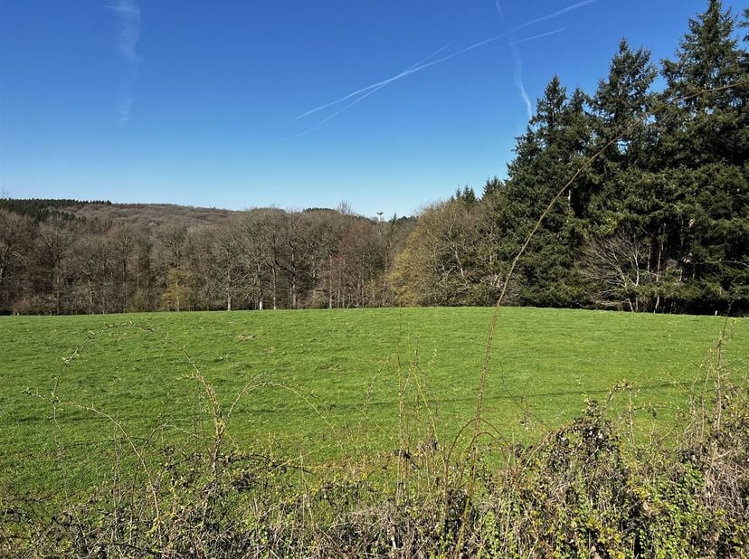 MCA Immobilier vous propose à la vente ce terrain d'exception à Rouge-Minière, sur la commune de Ferrières. <br />
Idéalement situé à proximité de l'E