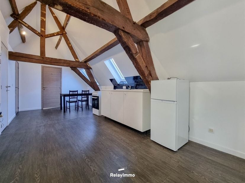 Tournai, quartier Saint-Jacques, appartement deux chambres entièrement rénové et situé au troisième étage de la résidence.<br />
Séjour ouvert sur la