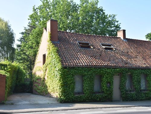                                         Woning te huur in Bellegem, € 675
