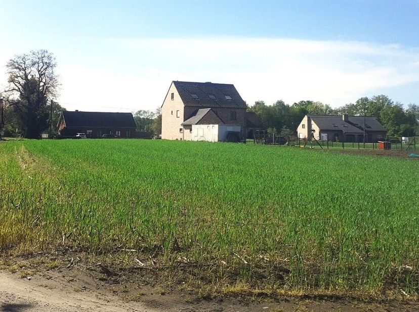 Spacieux terrain à bâtir (2544m²) ouvert à la construction à Baal.<br />
Vous êtes à la recherche d'un grand terrain à bâtir ouvert à la construction,