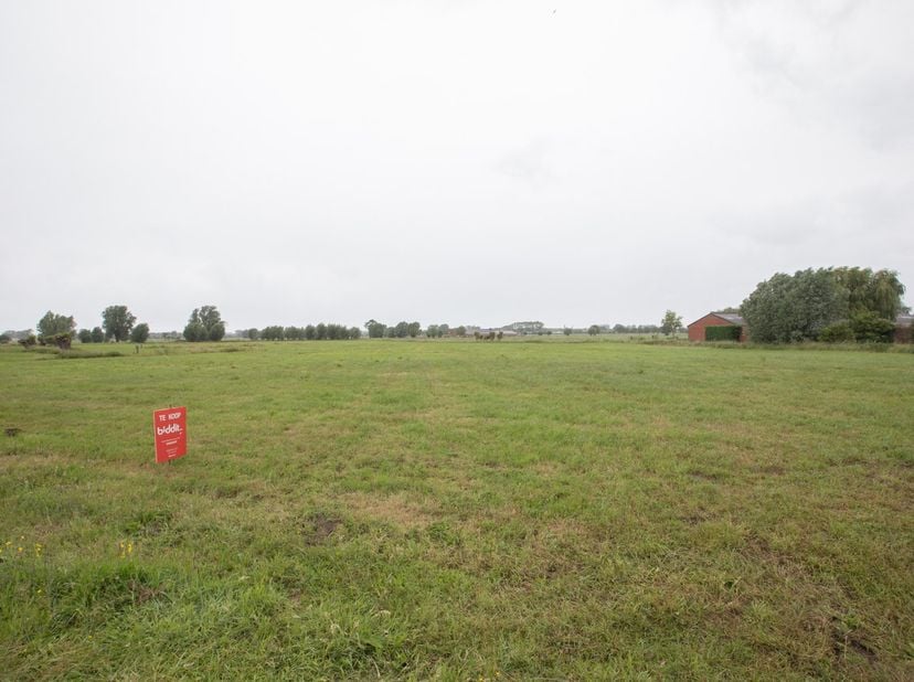 CINQ PARCELLES DE TERRES - <br />
<br />
Diverses parcelles de terrain avec dépendances, idéalement situées à proximité de la Noordmiddenstraat, dans