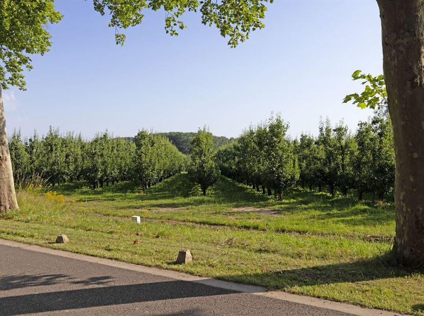Deze bouwgrond (OB) met een perceelsoppervlakte van 16are80 is zeer rustig gelegen. Met een straatbreedte van ±24m te midden van een residentiële, gro