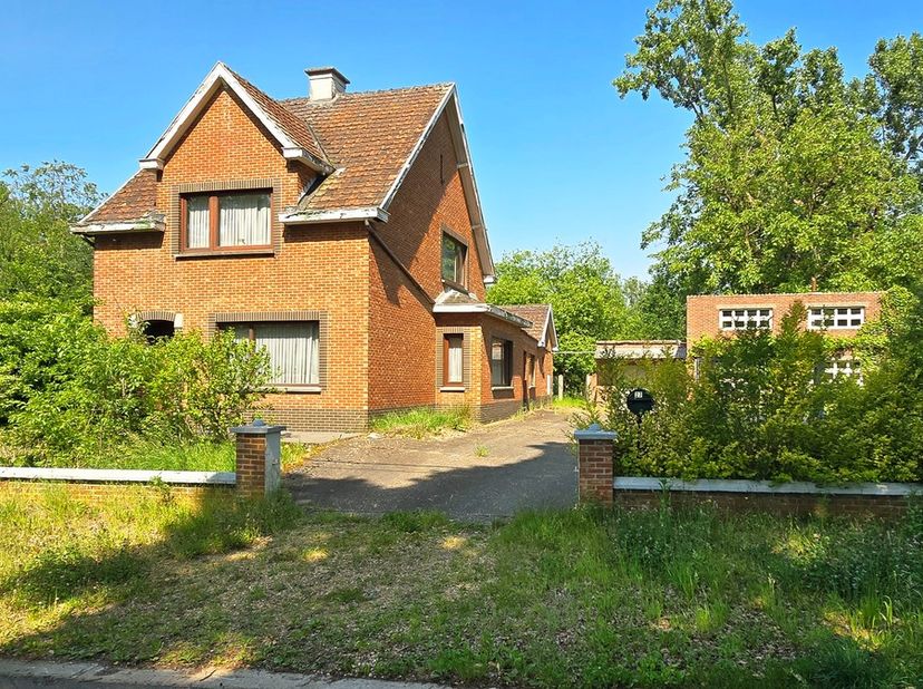 Voor een afspraak bel Kim 0473 72 33 62.<br />
<br />
Te renoveren woning OB met 3 slaapkamers op een grondoppervlakte van 6.086 ca waarvan 4186 ca bo