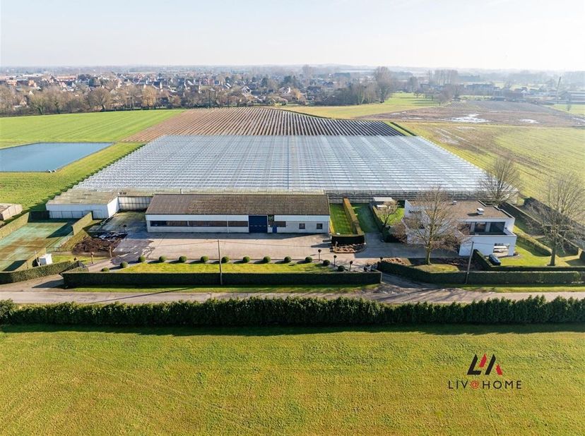 Uniek vastgoed in Koningshooikt - landelijke parel op 10,6 ha met moderne woonst, loods en serres<br />
In een oase van rust en groen, op een zeldzaam