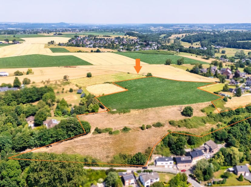 Bel ensemble de parcelles pour une superficie totale de 32.411m² situées à Dalhem. Les parcelles cadastrées section A, numéros 185B et 187C, dune supe