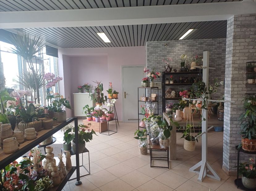 Bien professionnel à vendre
                    à 3910 Neerpelt