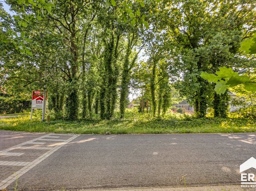 Terrain à vendre
                    à 3920 Lommel