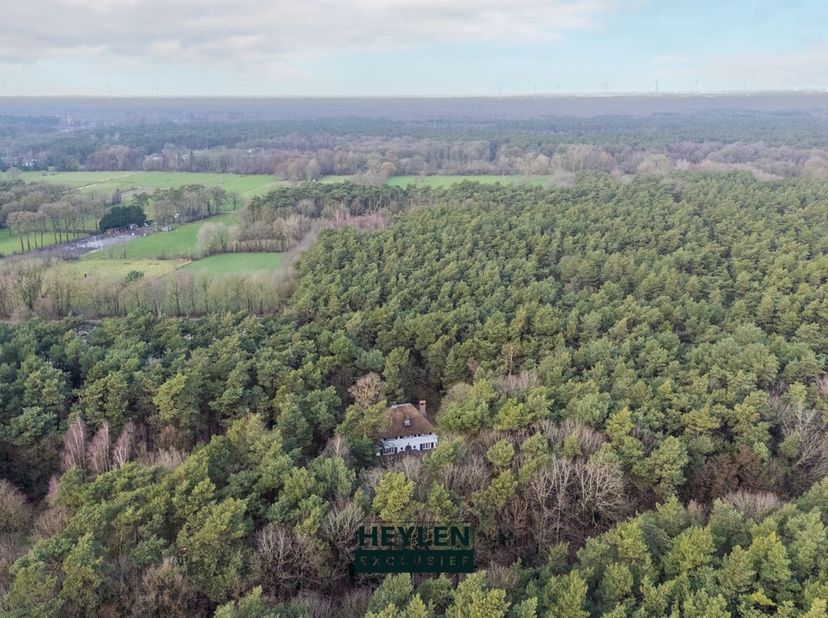 Unieke, landelijke villa op een prachtig perceel van 2ha 52a 69ca te Lichtaart / Kasterlee<br />
Ligging:<br />
 Rustig en bosrijk gelegen op de grens