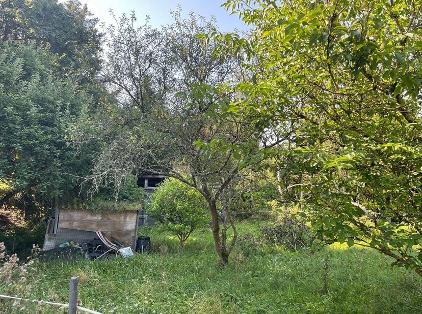 Terrain à bâtir de 12 ares 29 centiares sis à Agimont.<br />
Le terrain dispose d’un accès par la rue latérale (r. l’ancienne gare).<br />
L’ensemble