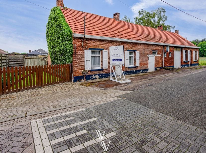 Maison à vendre
                    à 2243 Pulle