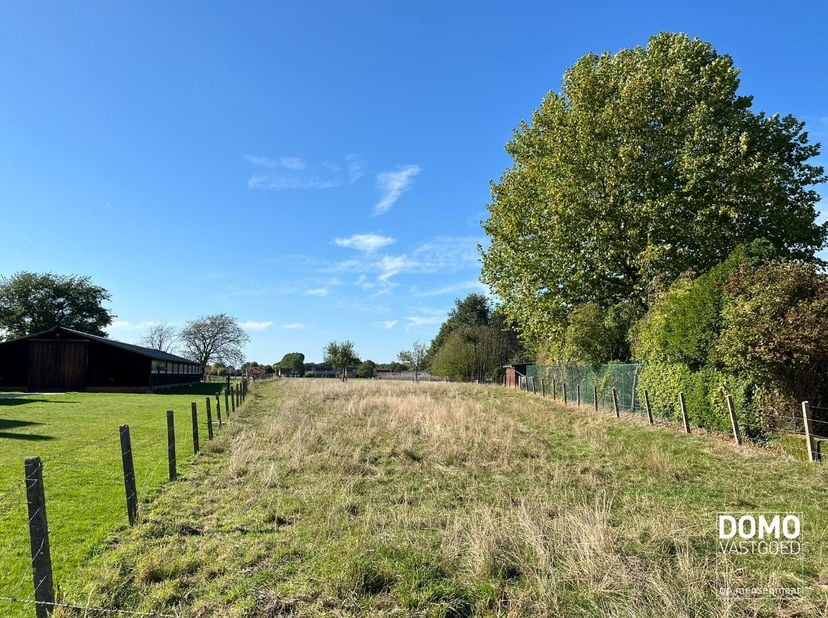 Terrain à vendre
                    à 3512 Stevoort