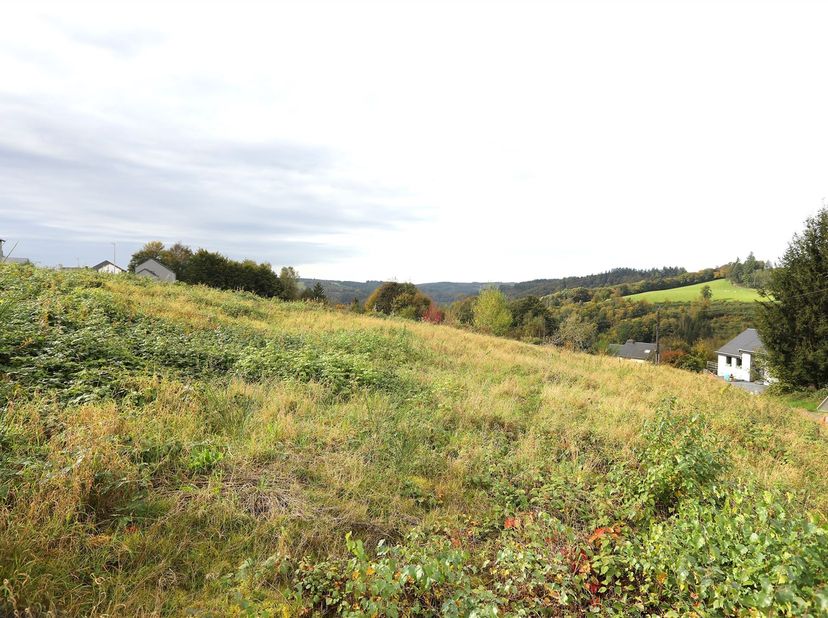 Terrain de 1019 m² , lot n°3 dans un lotissement résidentiel viabilisé sur les hauteurs de Bouillon.<br />
Très belle situation, au calme. <br />
Terr