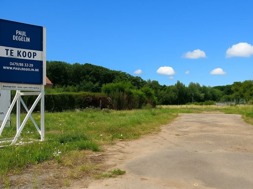 Op een vlot bereikbare ligging aan de Liersesteenweg in Aarschot bevindt zich dit perceel bouwgrond van 8a15 (loten 1 en 4).<br />
<br />
Achteraan he