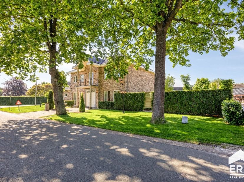 Maison à vendre
                    à 3910 Neerpelt
