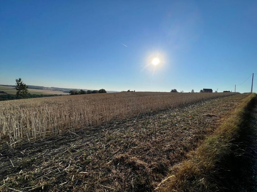 Terrain à bâtir de 24a. 10ca. sis au calme, dans le hameau d’Inzemont.<br />
Celui-ci bénéficie d’une très jolie vue dégagée !<br />
Largeur à front d