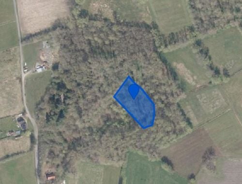                                         Bois à vendre à Herselt, € 16.500
