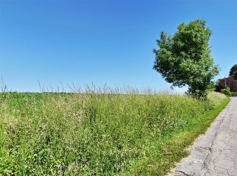 Très beau terrain situé en zone d'habitat à caractère rural d'une contenance de 1 ha 09 a 00 ca, idéalement situé dans un environnement calme de la Co