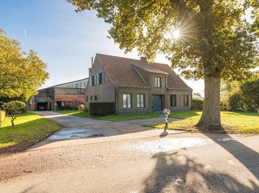 Melkveebedrijf met melkrobot. Alles onder één dak. Toekomstperspectief als autonoom bedrijf met circa 60 melkkoeien ofwel als satellietbedrijf voor jo
