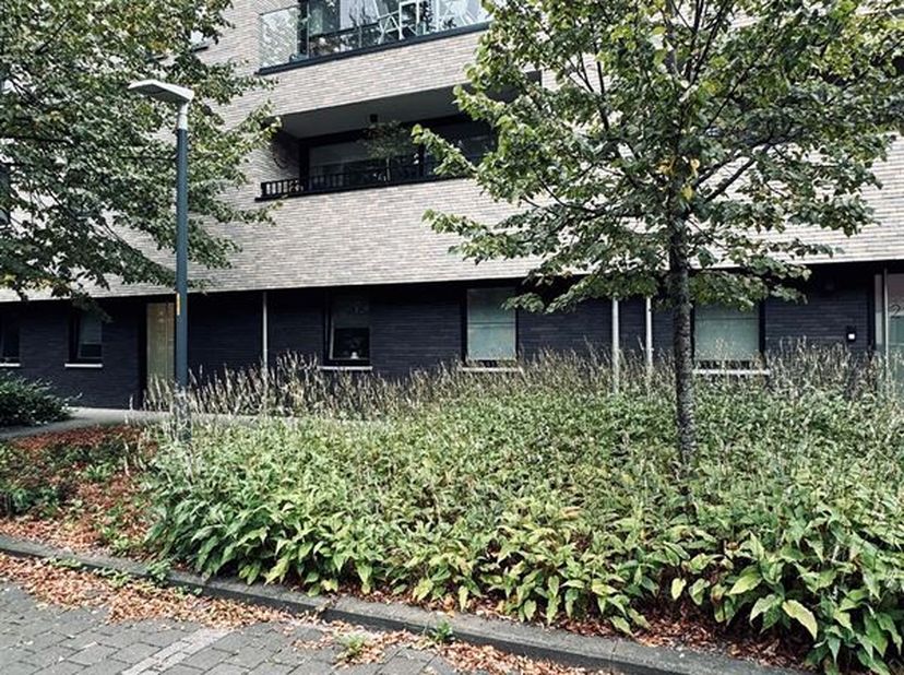Dit volledig geschilderd appartement is gelegen op de tweede verdieping in het centrum van Melsele. U beschikt over een mooi terras en een ondergronds