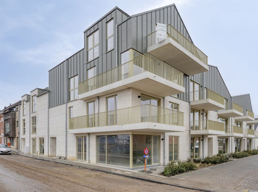 Huis te koop
                    in 9470 Denderleeuw