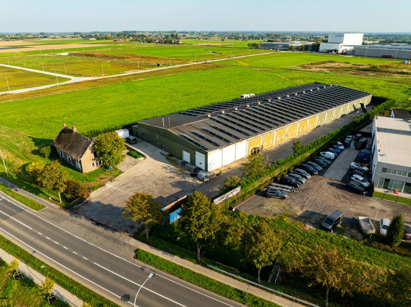 Bedrijfsvastgoed te koop in Ruiseleedsesteenweg 25,
                    8700 Tielt