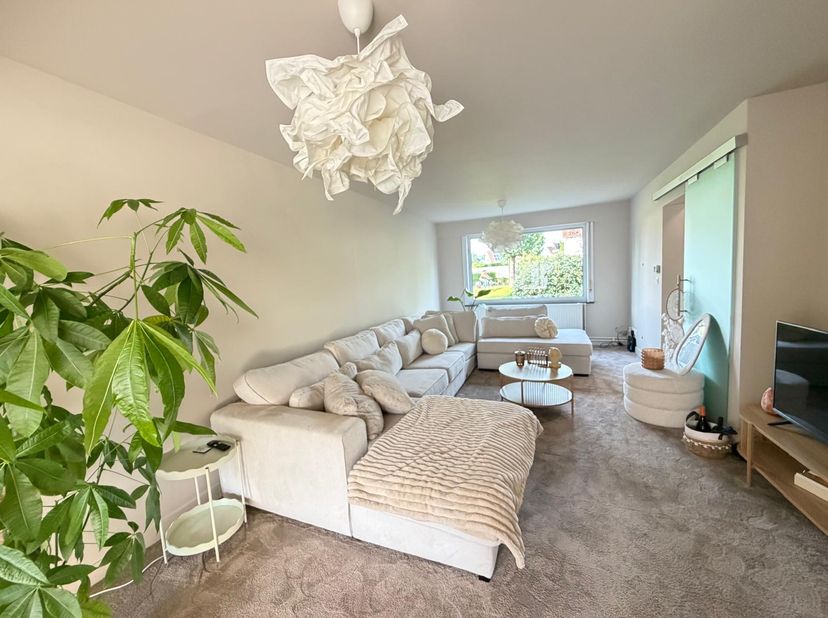 Maison à louer
                    à 3600 Genk