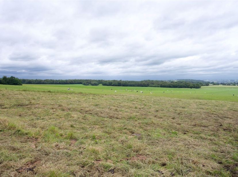 2 belles prairies d'une contenance totale de 5 ha 30 a 03 ca libres d'occupation.<br />
Sols de bonne qualité. Accès aisé. Elles sont situées à route