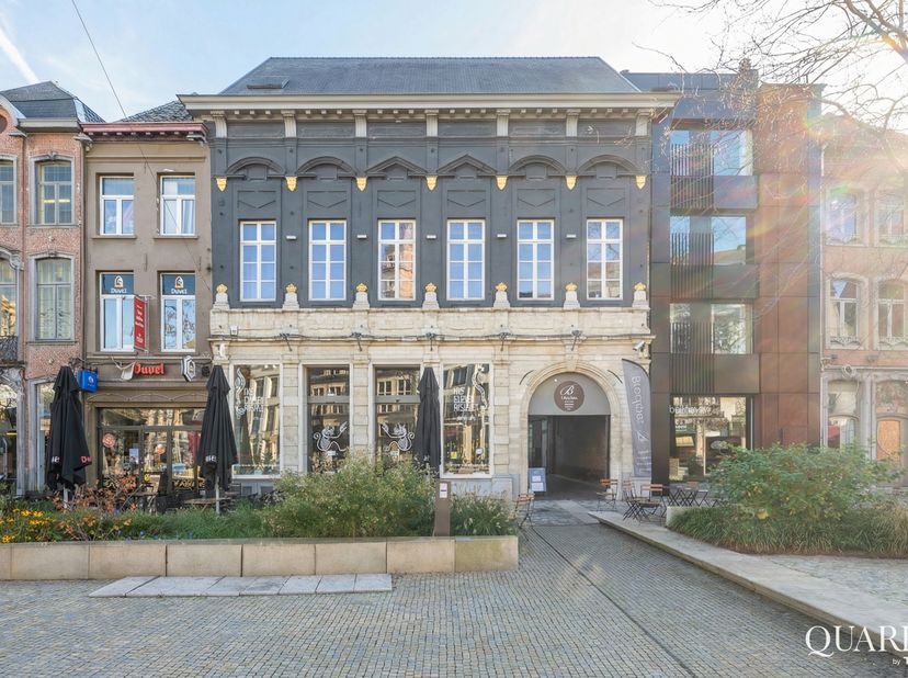 Bien professionnel à vendre
                    à 2800 Mechelen