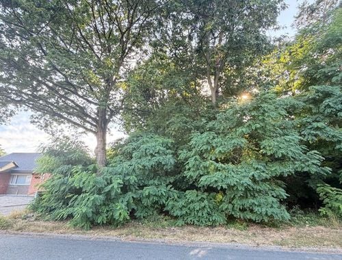                                        Terrain à bâtir à vendre à Heppen, € 115.000
