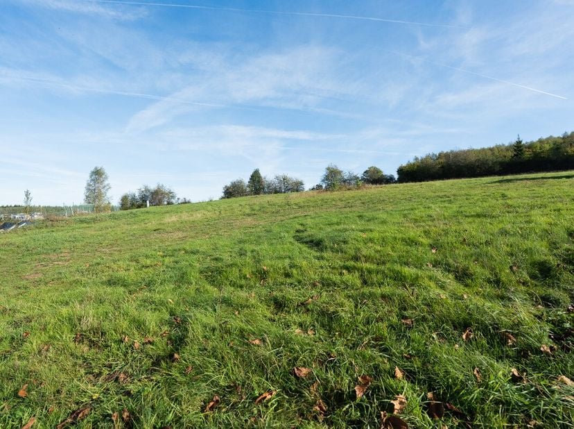 Terrain à vendre à La Fange,
                    6960 Harre