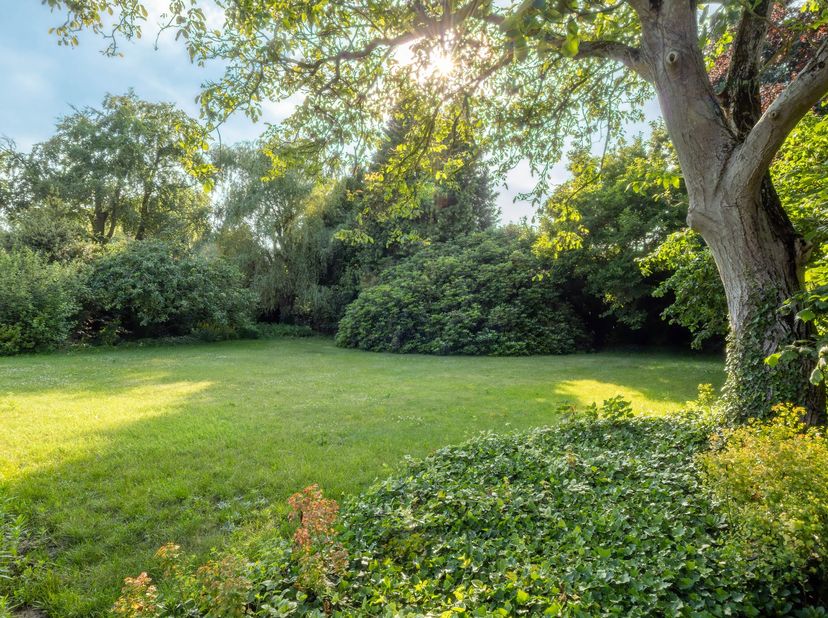 Terrain à vendre à Brusselsesteenweg 481 - BG,
                    9090 Melle