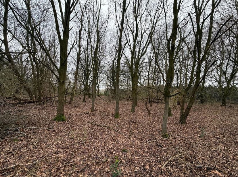 Landbouwgrond van 11a 75ca in een rustige en groene omgeving.<br />
Ligging:<br />
In de bruisende gemeente Beverlo kan u heerlijk genieten van de moo