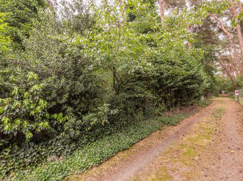Terrain à vendre
                    à 2290 Vorselaar