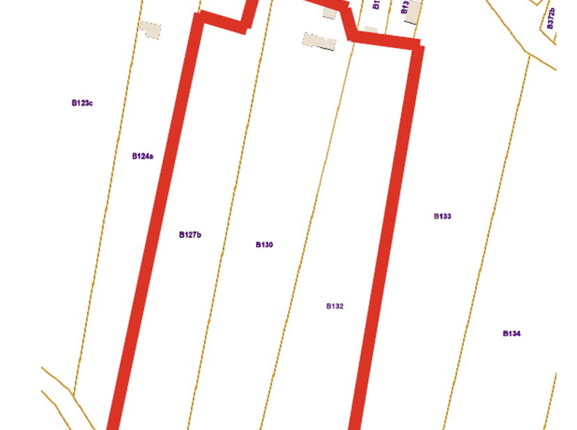 UNIEK GEHEEL VAN 2 WEIDEN EN BOS IN NATUURGEBIED "DE NUCHTEN"<br />
Aan de rand van één van de mooiste natuurgebieden van onze streek, De Nuchten, bev