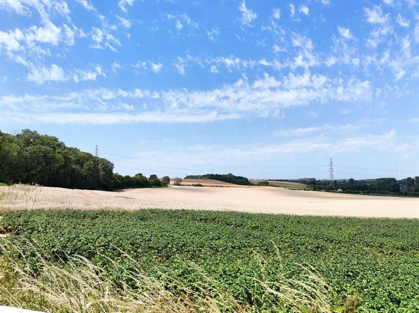 Zeer mooi perceel gelegen in een woongebied met landelijk karakter, met een oppervlakte van 74 a 17 ca.<br />
De verkopers hebben van de gemeente een