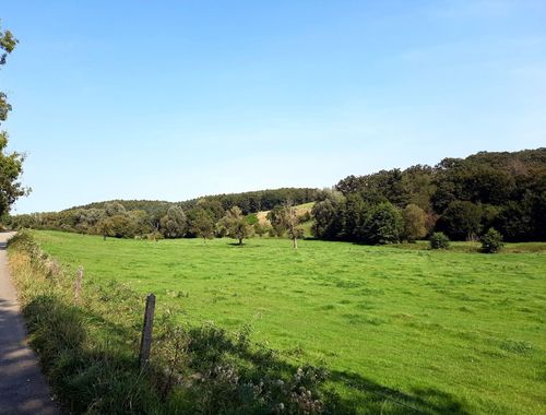                                         Landbouwgrond te koop in Thimister, € 99.000
