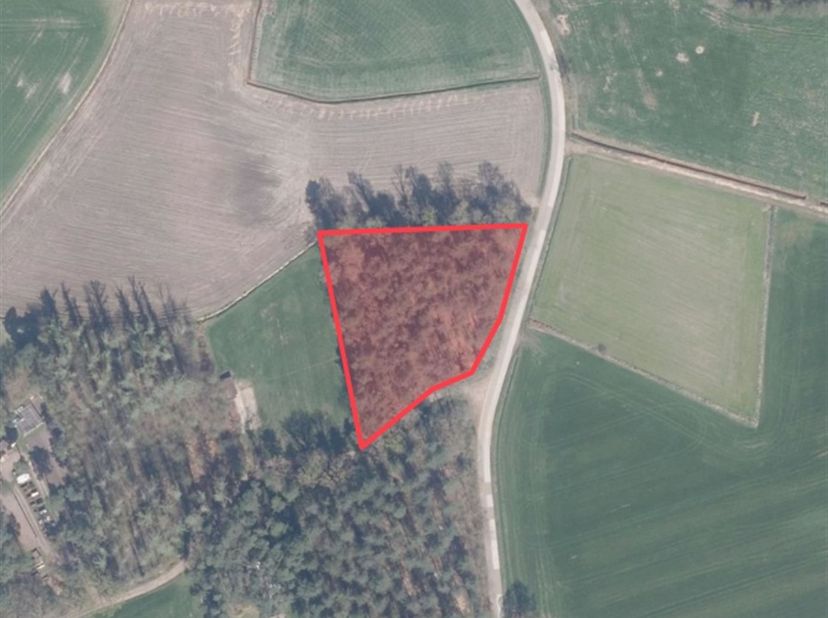 Grond te koop in Borze ZN,
                    2275 Lille