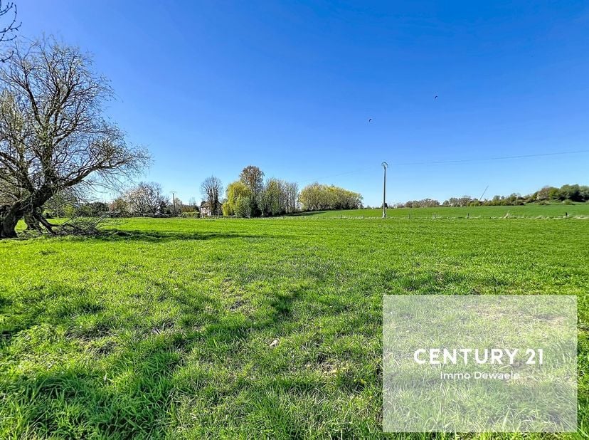 Dans les campagnes d'Arquennes, pâtures cadastrées section B numéro 790M et 789/D2  pour une contenance de 80 ares 29 centiares. Occupé par un agricul