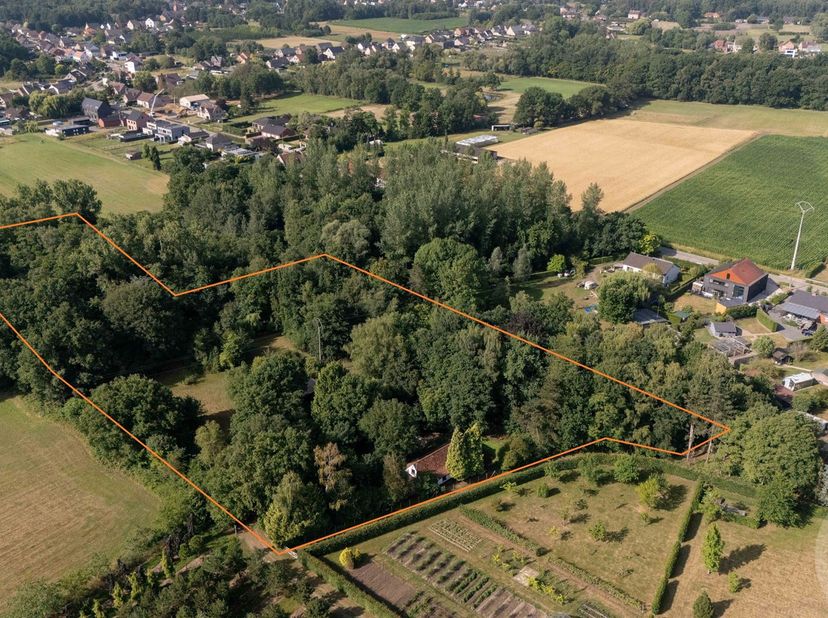 Unieke hoeve op domein van 1,5 ha met extra chalet – pure rust en natuurbeleving in het groen<br />
<br />
 Op een indrukwekkend perceel van 1 hecta