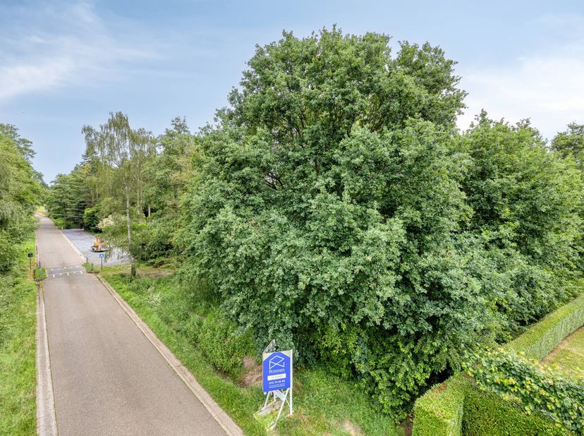 <br />
Bouwgrond voor open bebouwing op een perceel van 16a 76ca te koop in Tessenderlo-Ham<br />
<br />
Op de Rietweg in Tessenderlo-Ham (ook wel gek