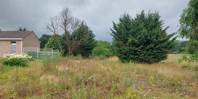 Grond te koop in Lommelsesteenweg lot 1, 3970 Leopoldsburg