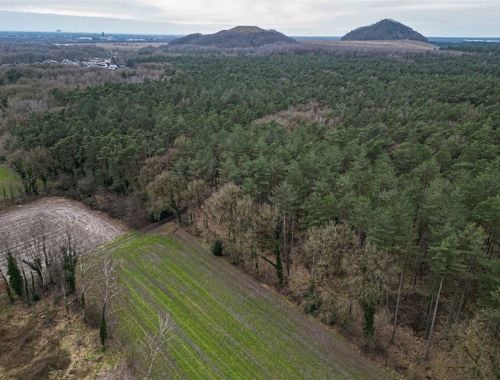                                         Bos te koop in As, € 16.000
